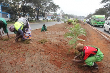 Nairobi streets beautified