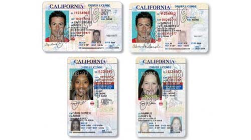 CA Drivers Licenses