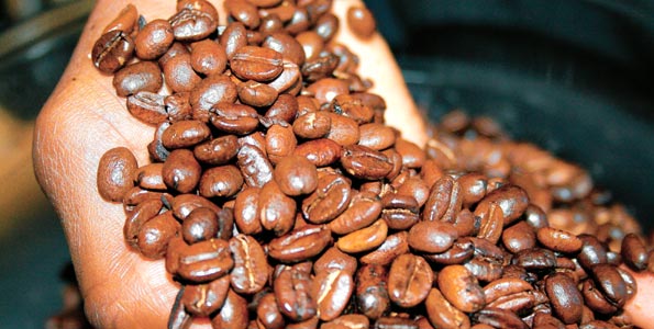 coffee beans
