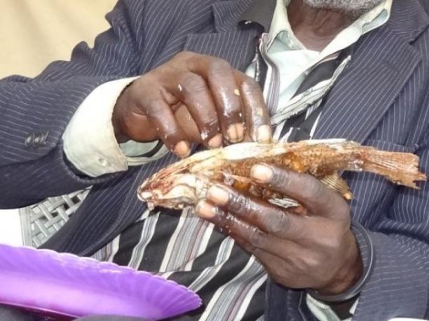 Man eating fish
