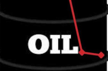 Oil