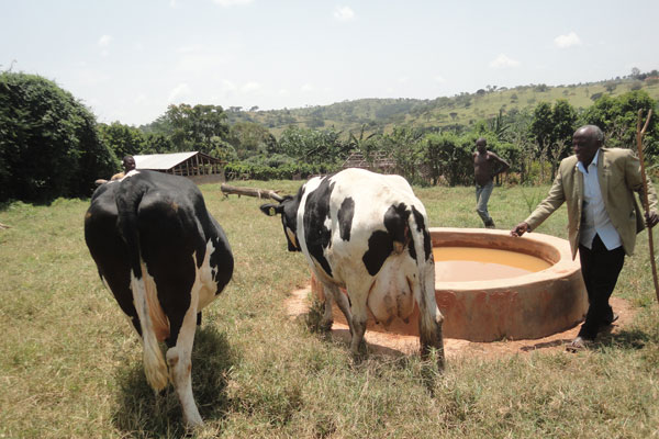 He started mixed farming with just 10 cows