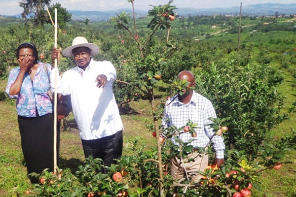 I am in power to fight poverty, says Museveni
