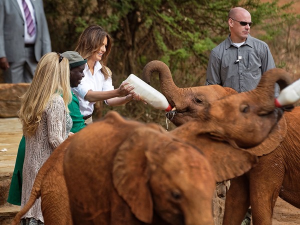 Melania Trump feeds a baby elephant at the David Sheldrick Wildlife Trust elephant orphanage in Nairobi