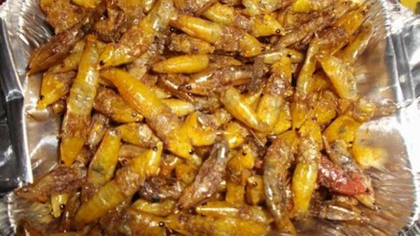 We're considering adding Nsenene to our menu, says Uganda Airlines