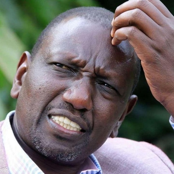 William Ruto: From chicken hawker to Kenya's president-elect